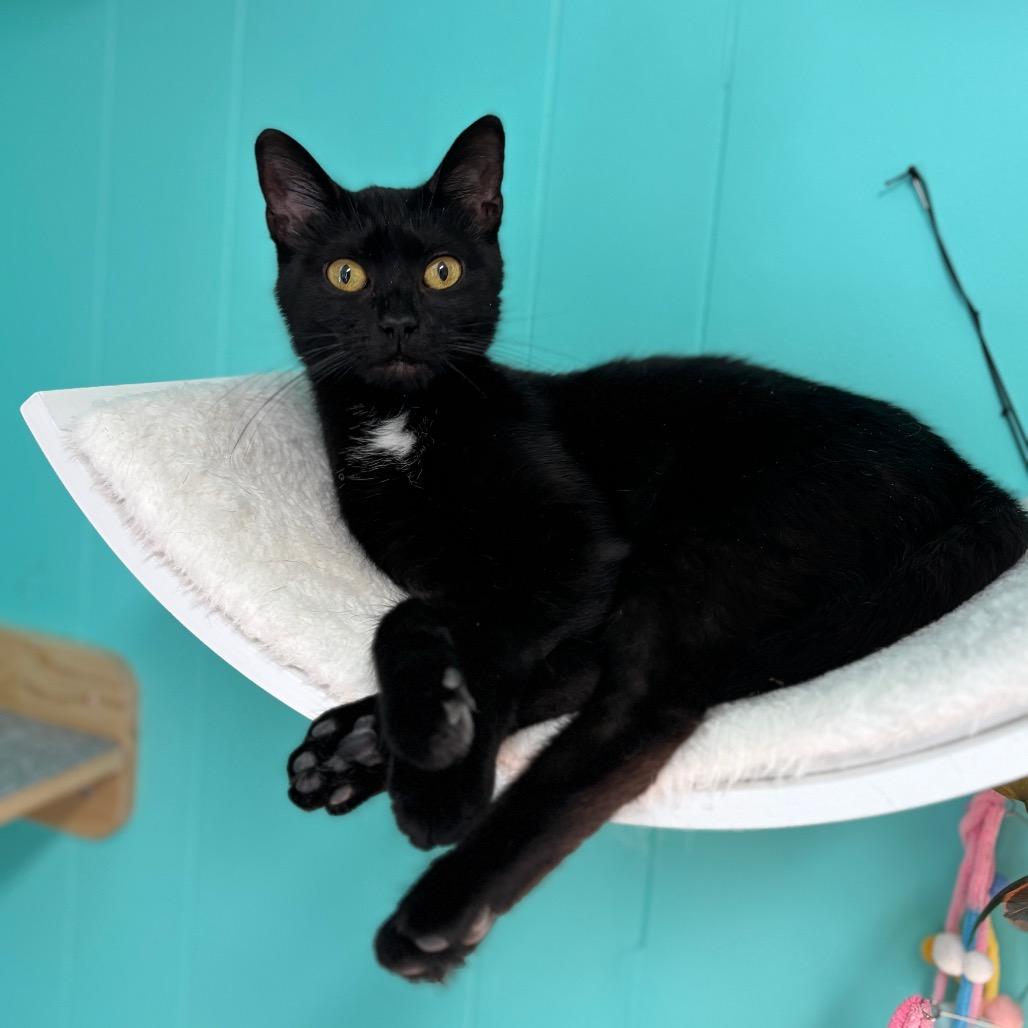 Sushi — thumbnail 5