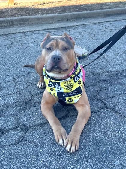 Bells — thumbnail 2