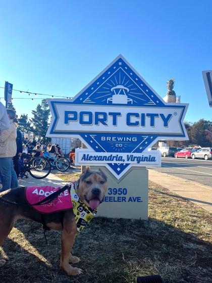 Bells — thumbnail 3