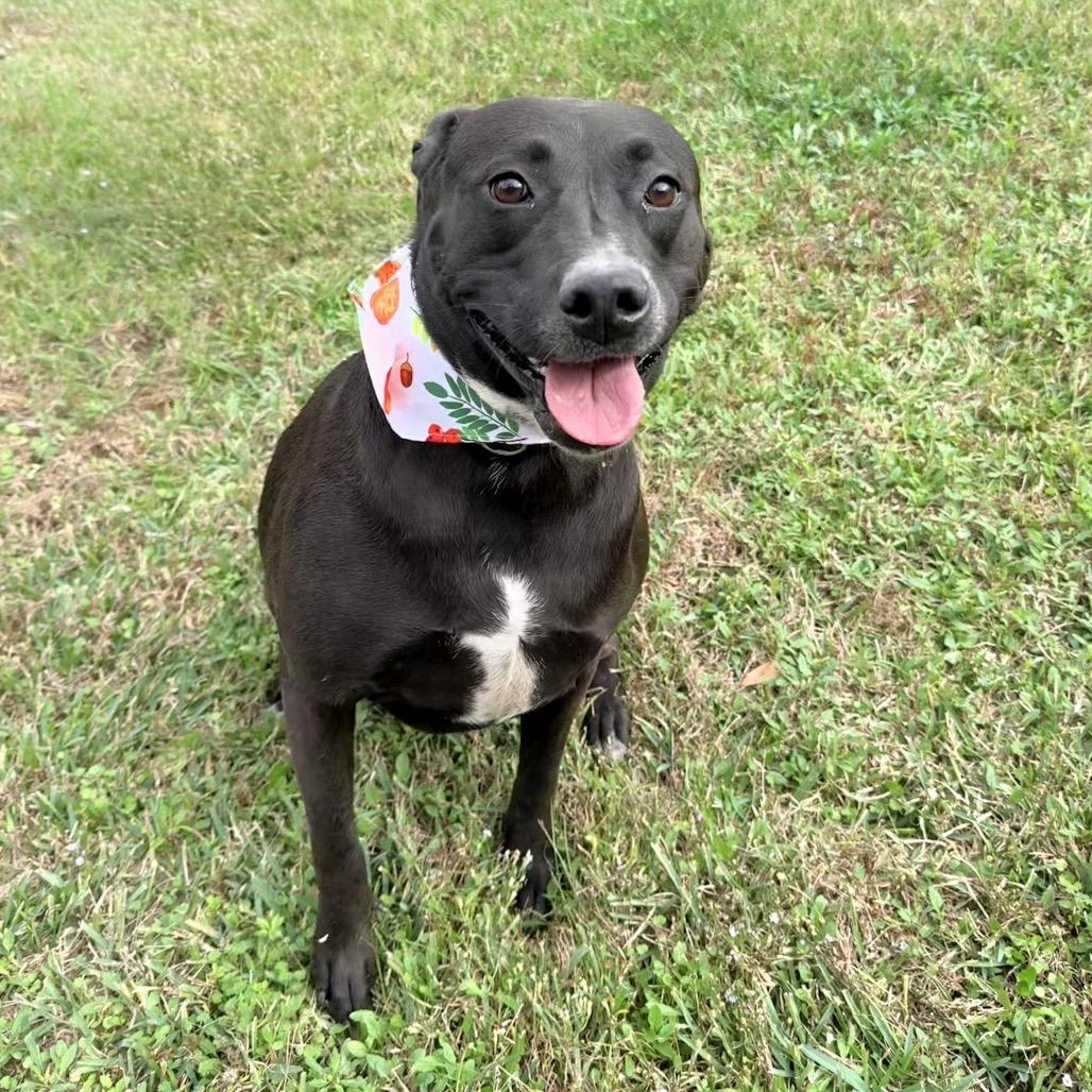 Mercedes — thumbnail 5