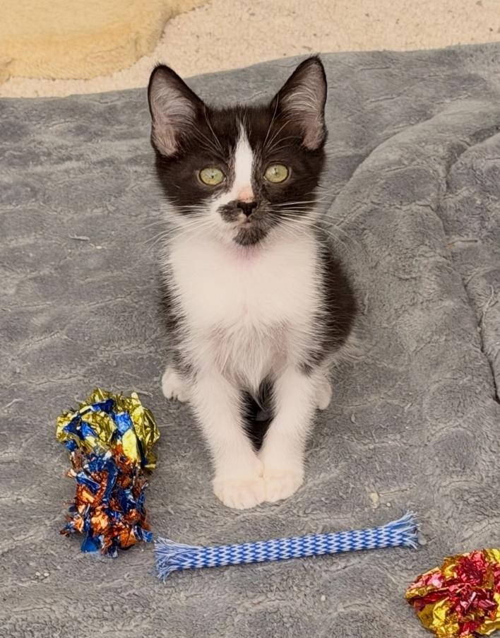 Brockley and Marlowe