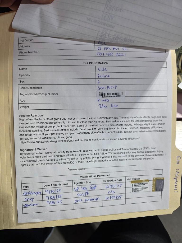 Ella, a Adoptable mixed breed in Minot, ND image 5/6