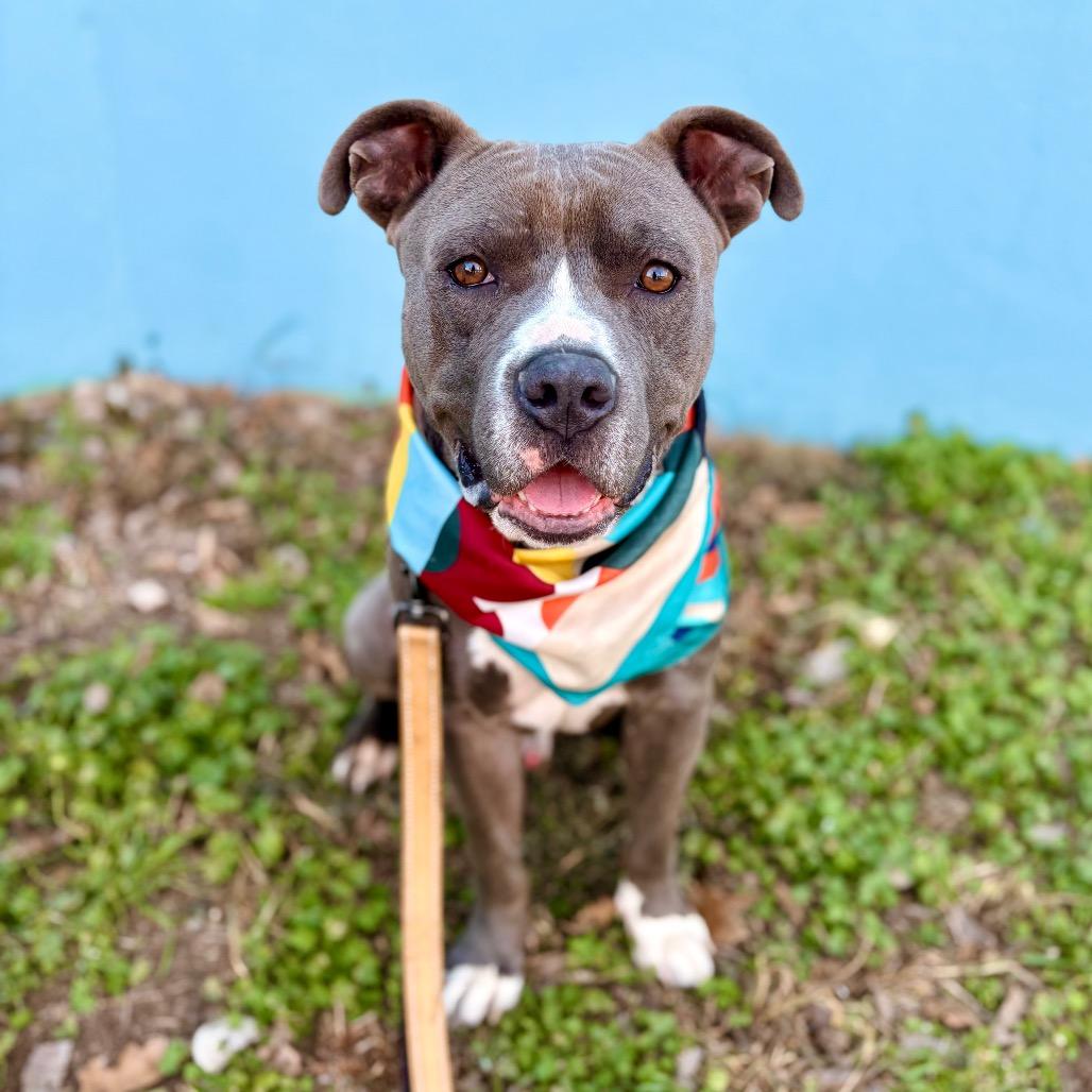 Vinnie — thumbnail 5