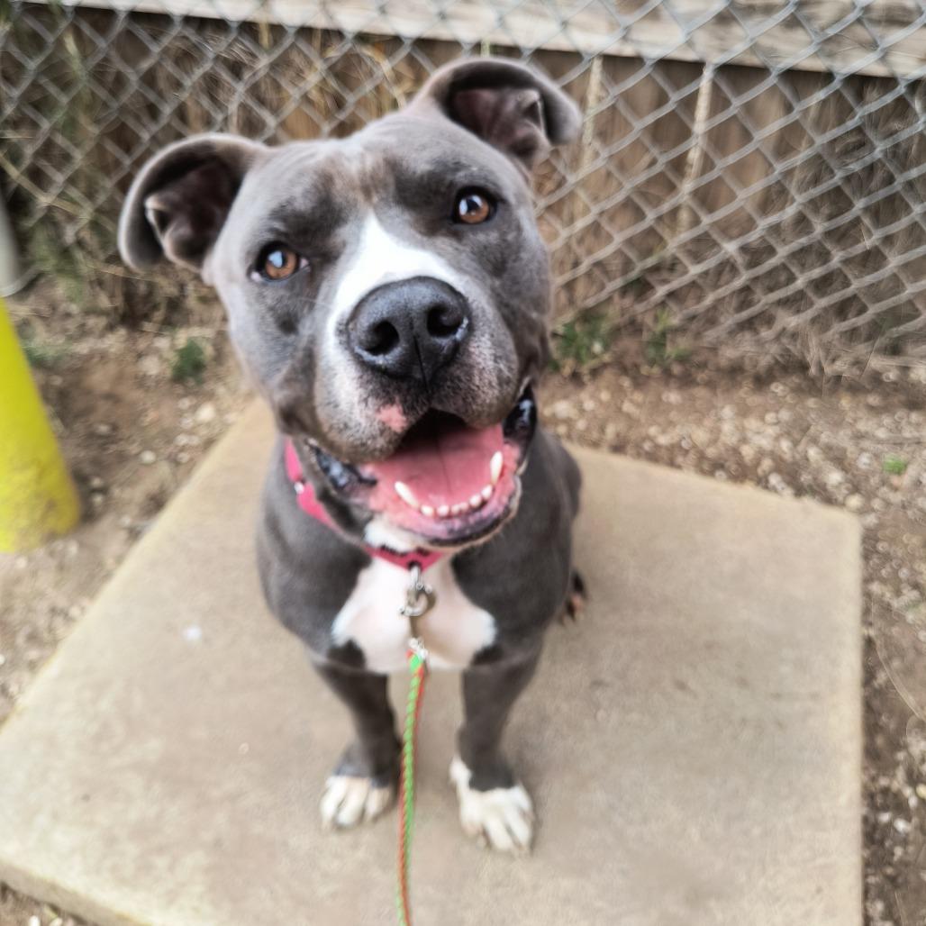 Vinnie — thumbnail 6