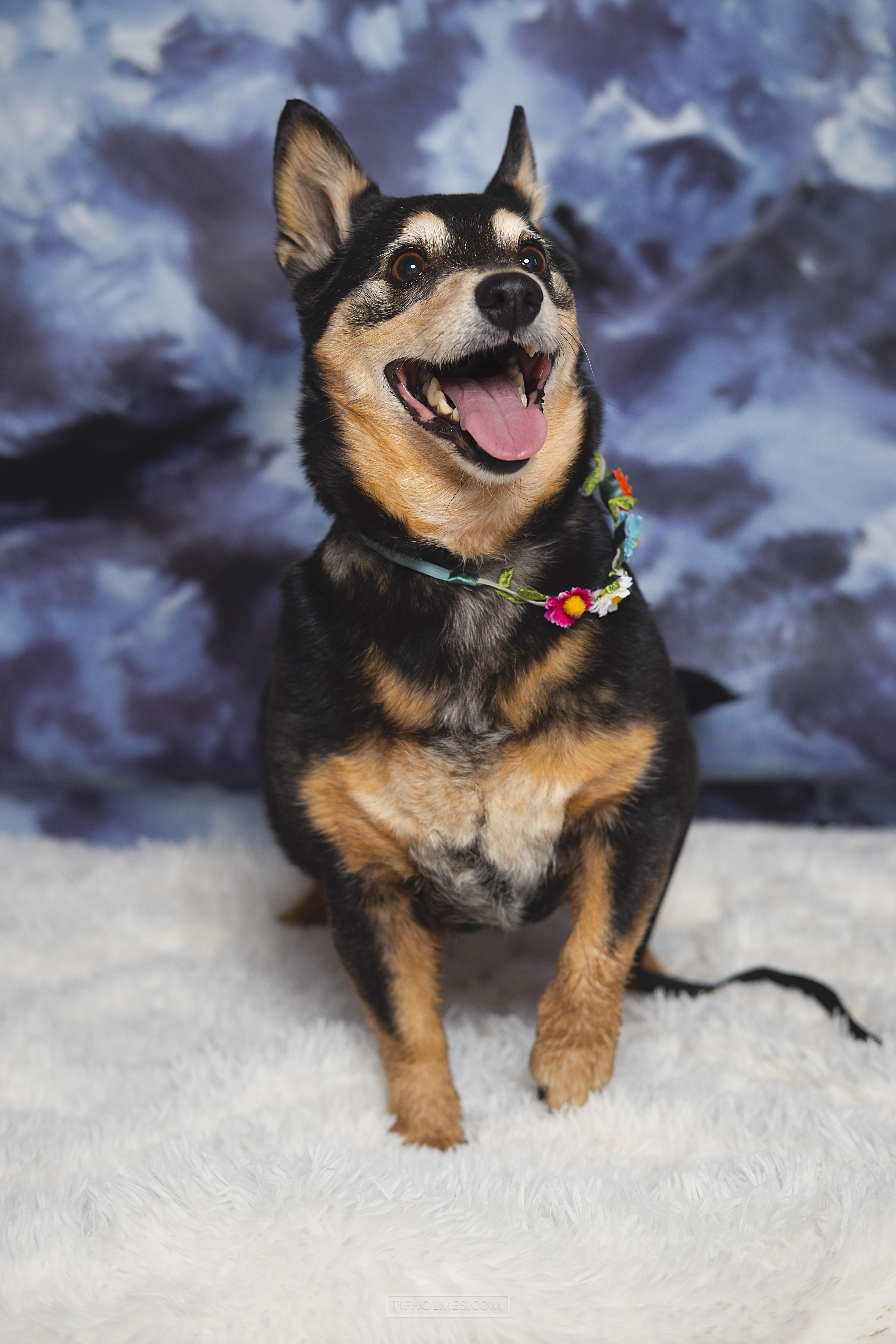 Baby/Melissa — thumbnail 2