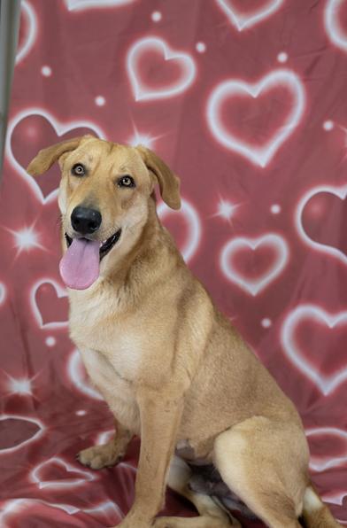 Ezra — thumbnail 3