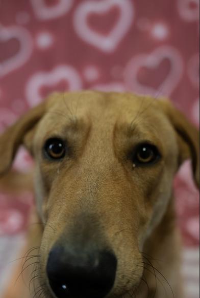 Ezra — thumbnail 4