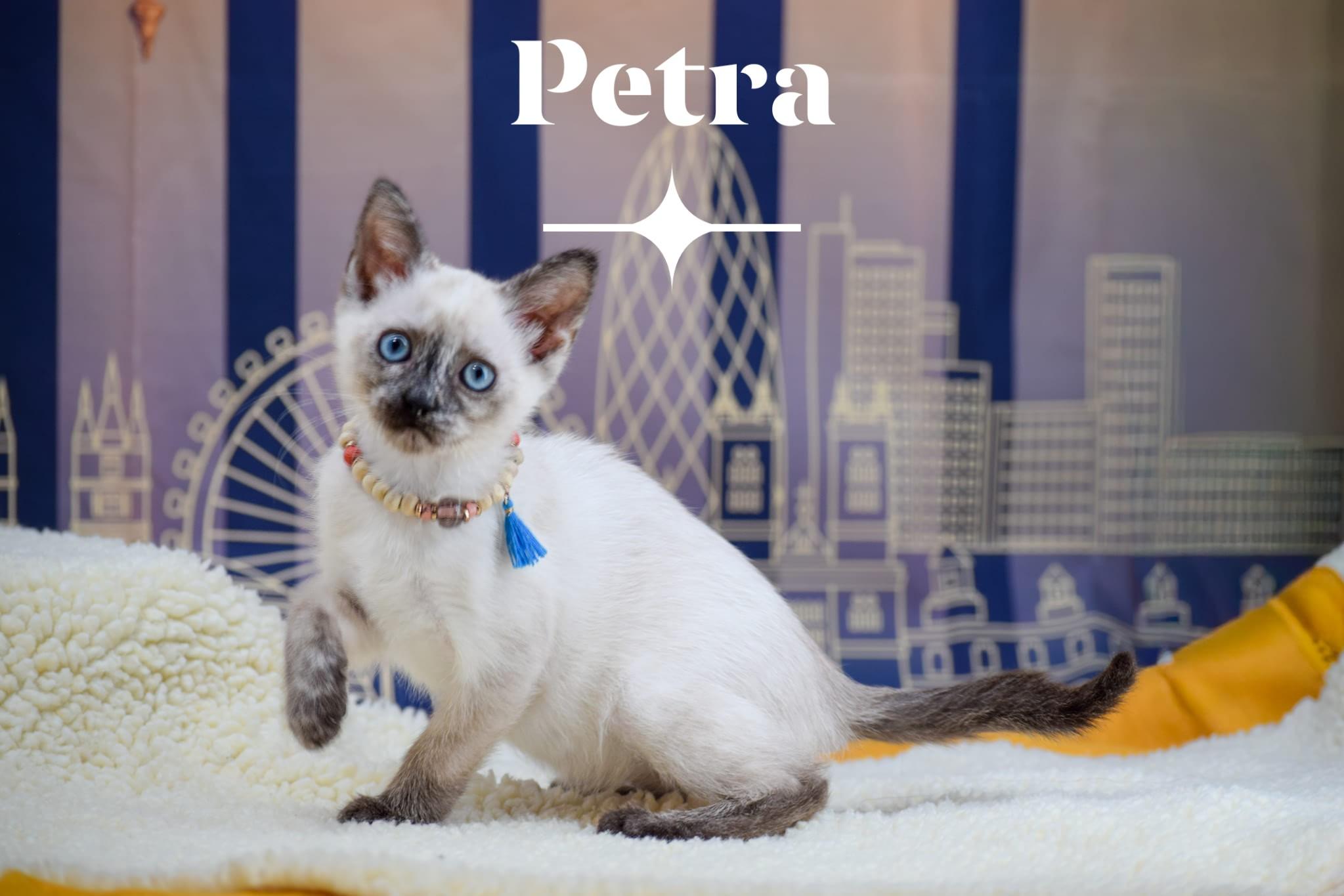 Petra thumbnail 2