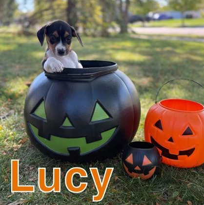 Lucy