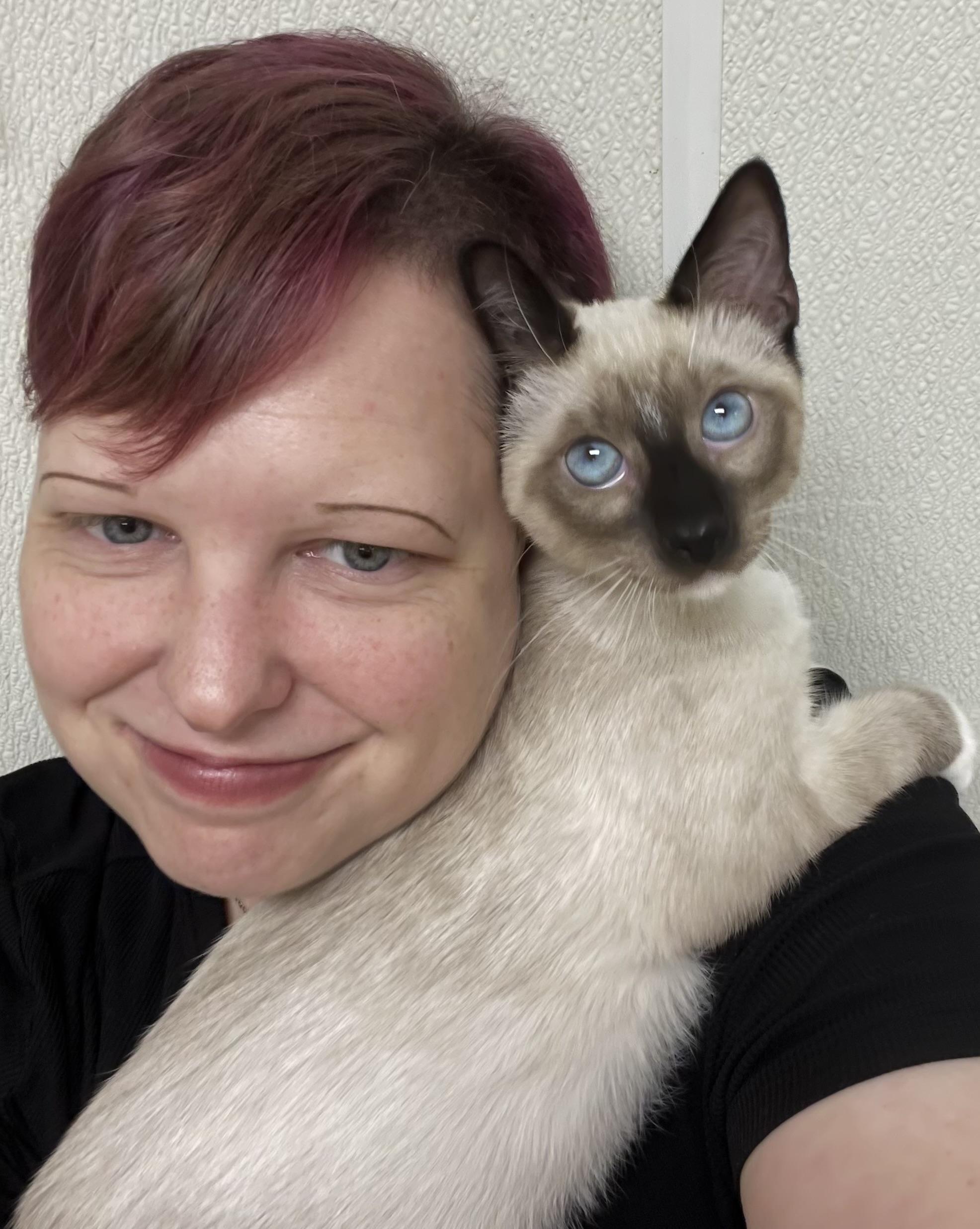 Enlarge Purrlot, an adopted mixed breed in Hillsboro, TX image 5/5