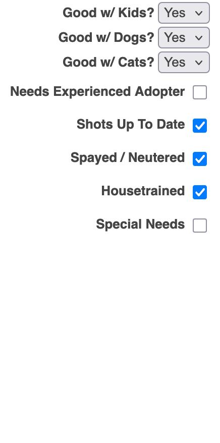 Enlarge Muggles, a Adoptable mixed breed in Seabrook, NH image 5/6