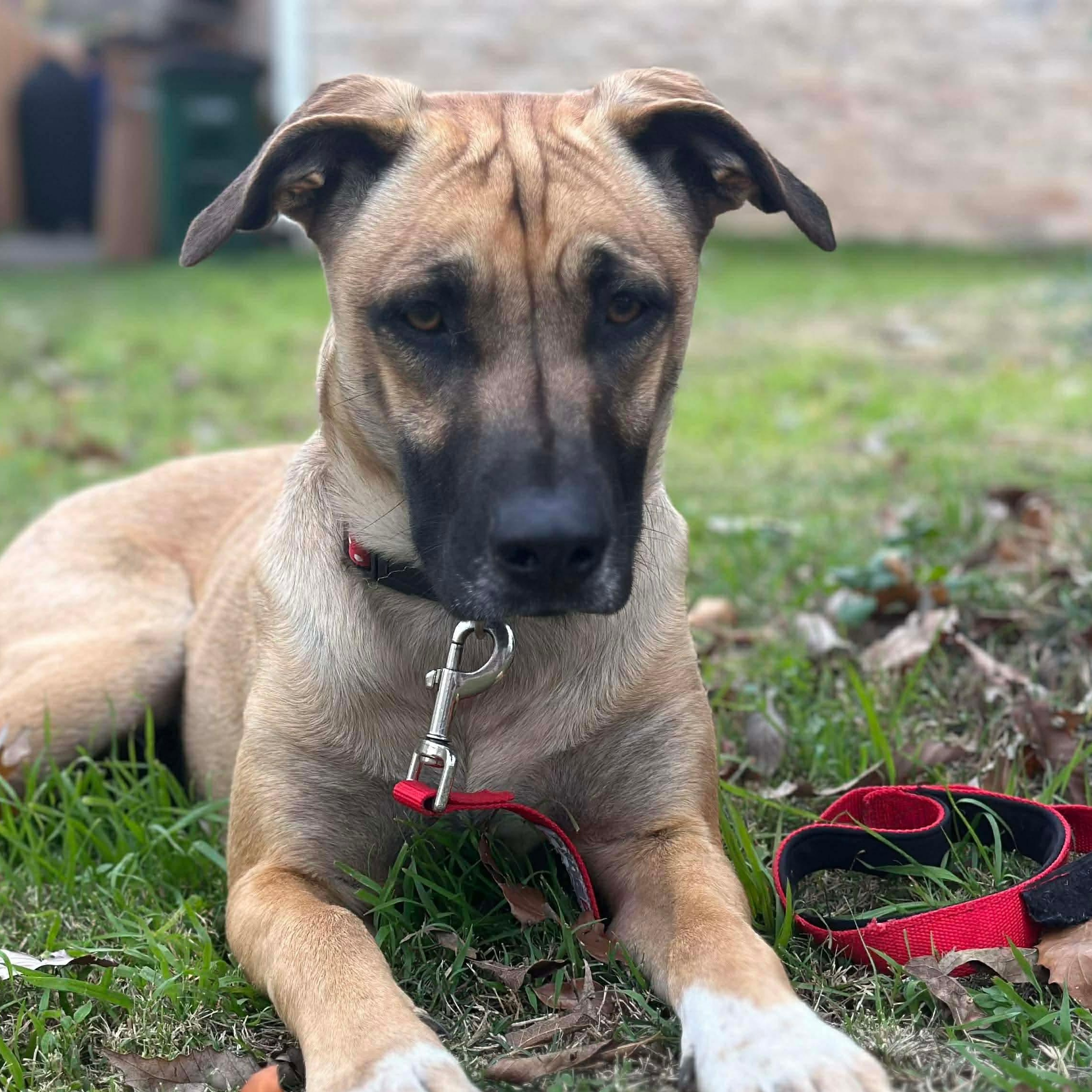 Lola — thumbnail 6