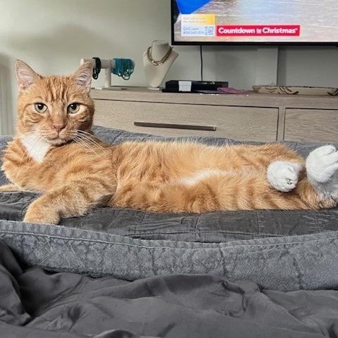 Fred — thumbnail 2