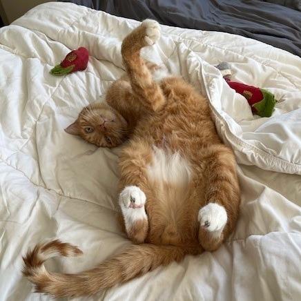 Fred — thumbnail 3