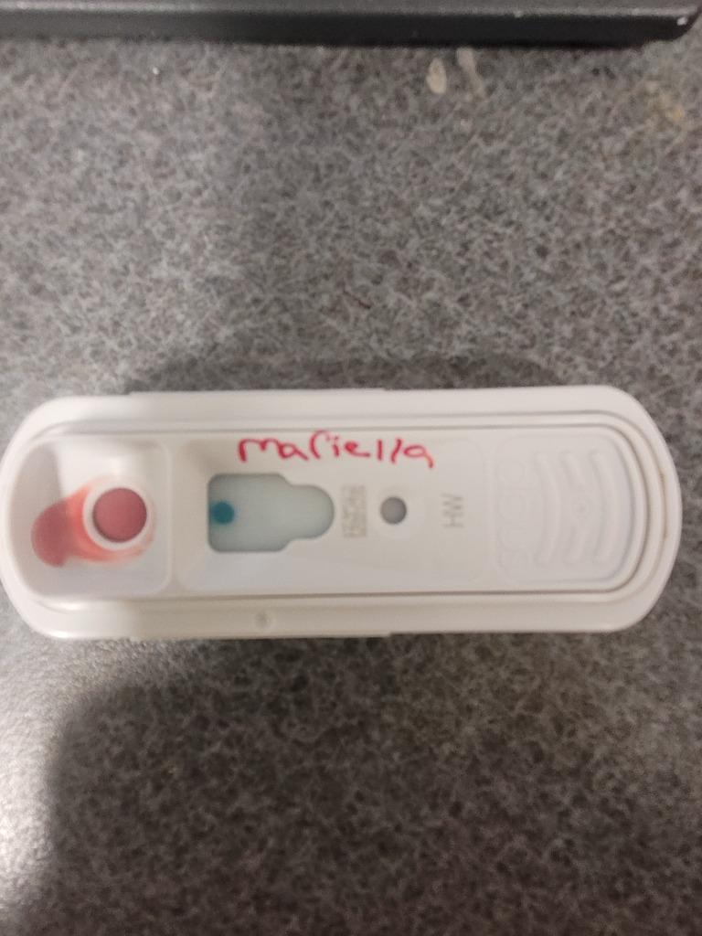 Mariella, a Adoptable mixed breed in Hopkinsville, KY image 1/6