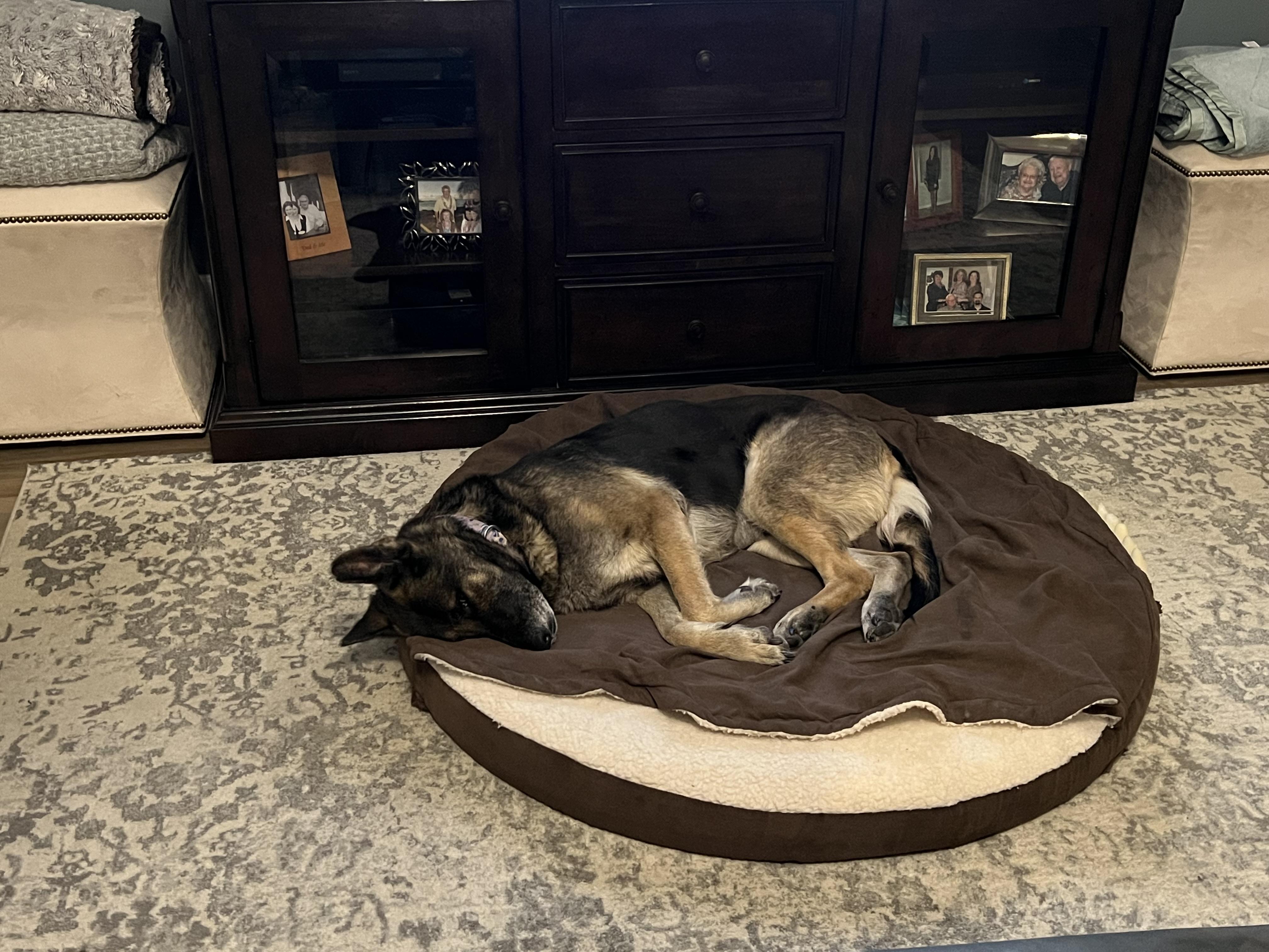 Britta — thumbnail 2