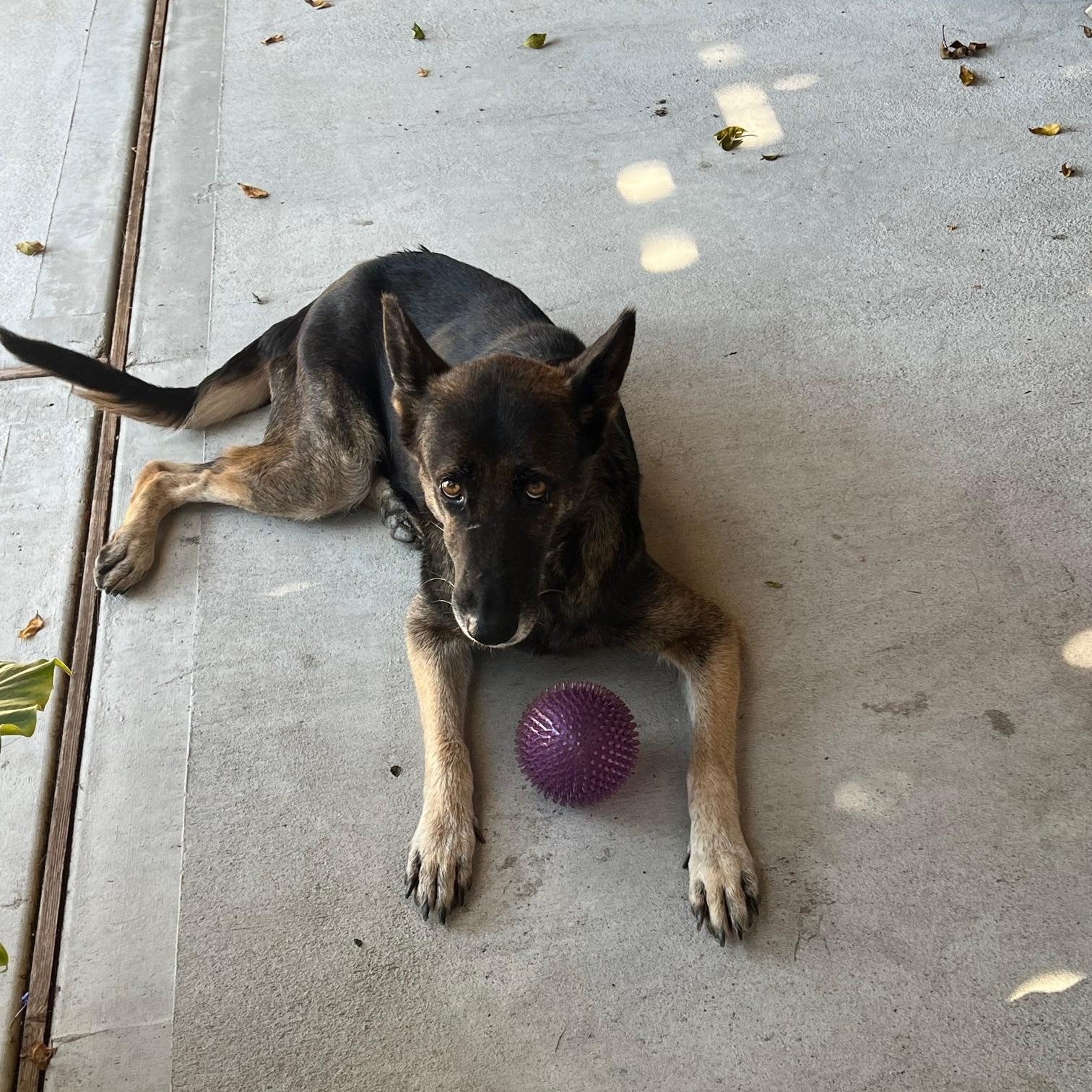 Britta — thumbnail 3