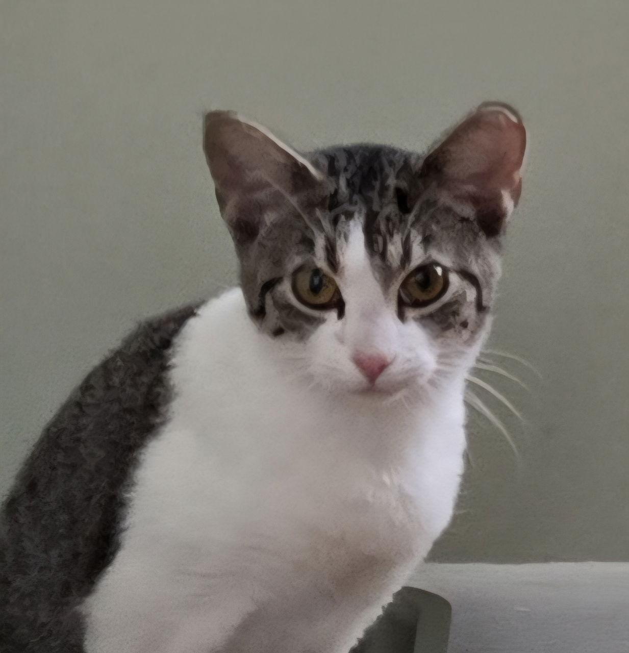 Sunny * — thumbnail 2