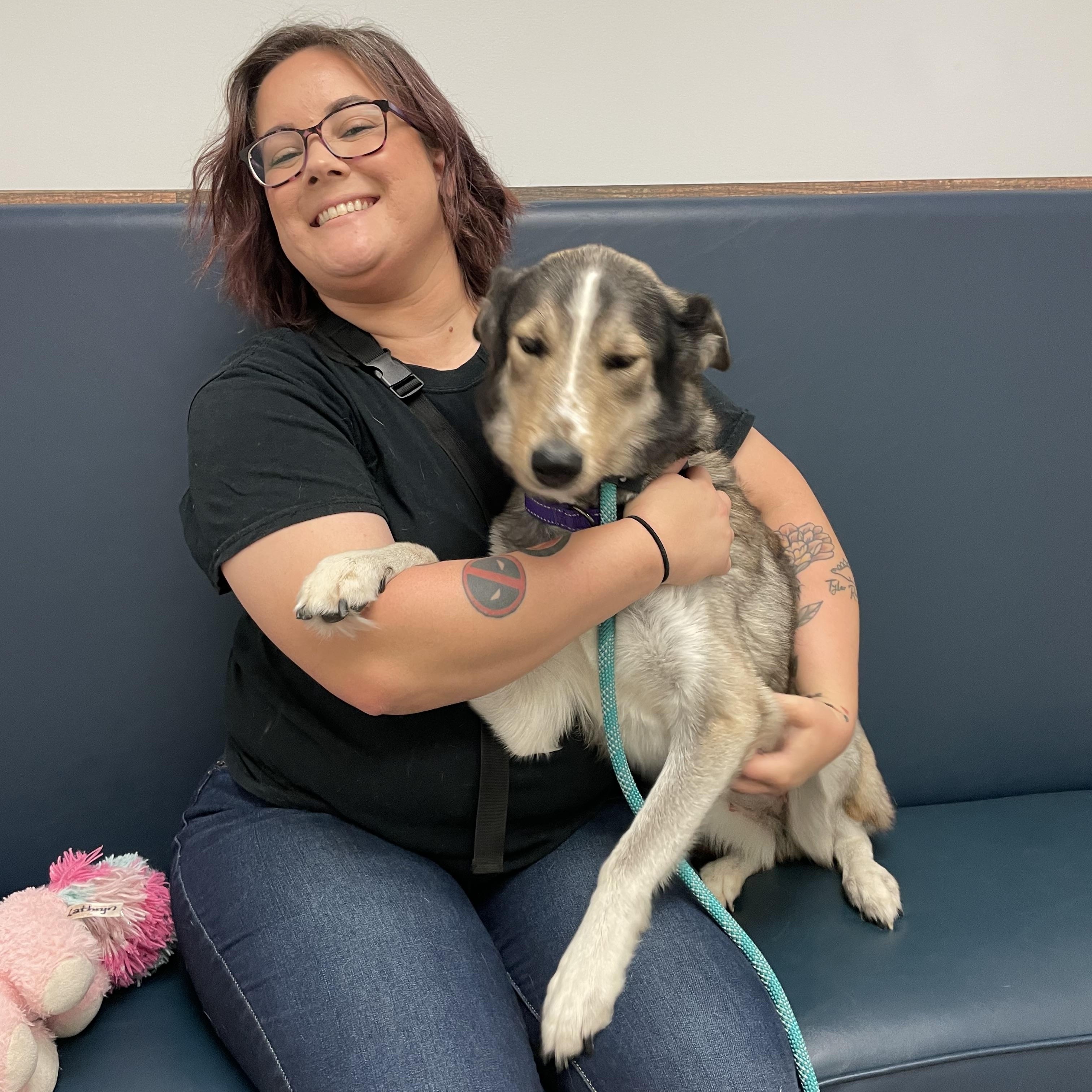 Happy, a Adoptable mixed breed in Port Saint Lucie, FL image 3/3