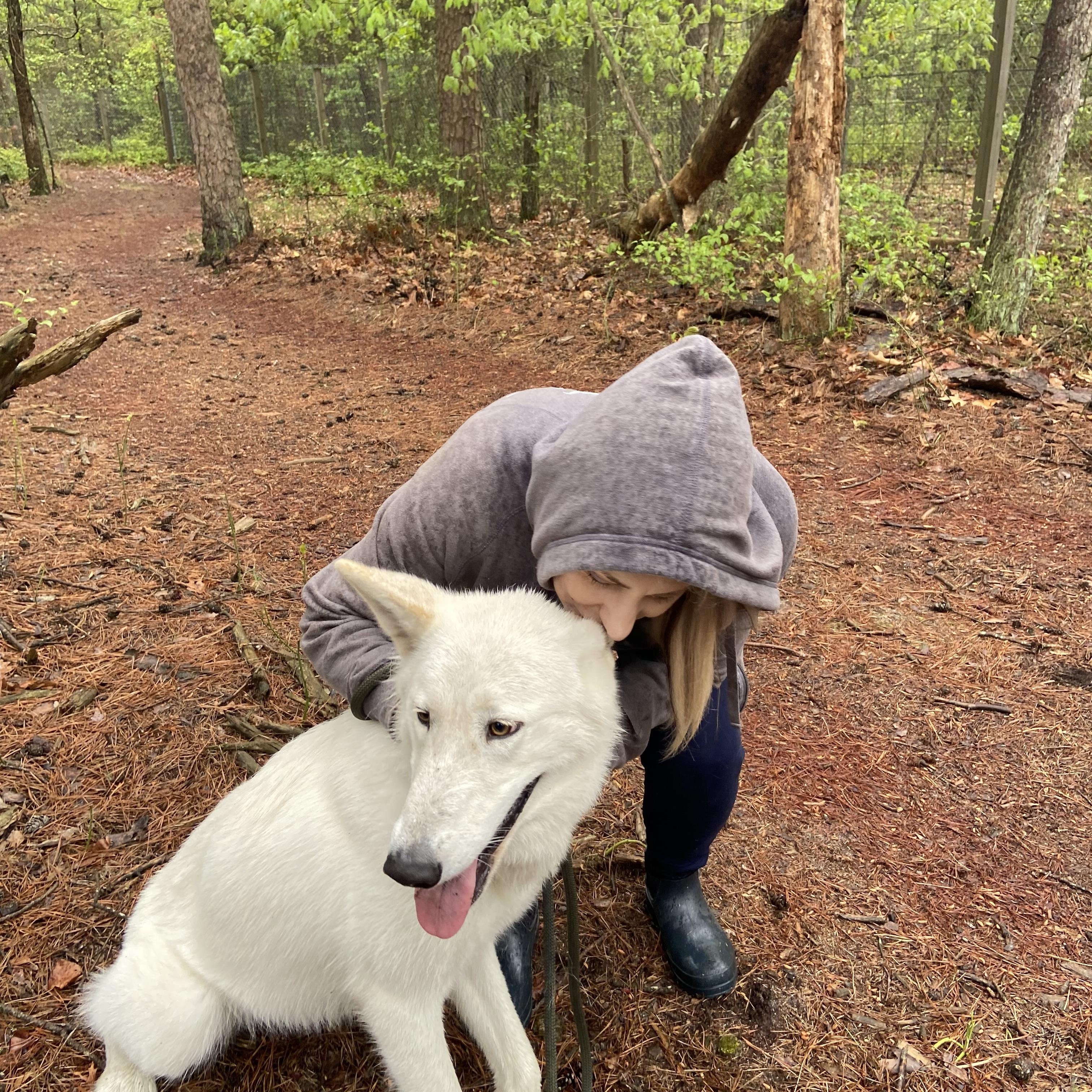 Ivory, a Adopted mixed breed in Jackson, NJ image 3/6