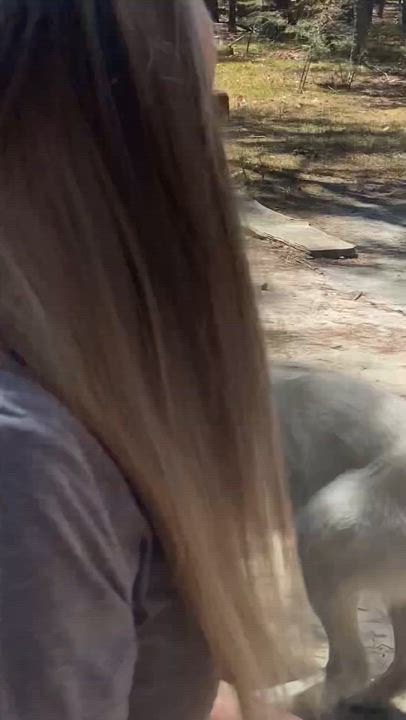 Enlarge Ivory, a Adopted mixed breed in Jackson, NJ video 6/6