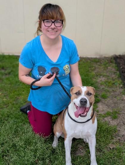 Lipton, a Adoptable mixed breed in Gulfport, MS image 2/3