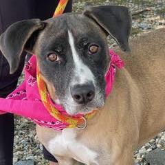 Spice — thumbnail 2