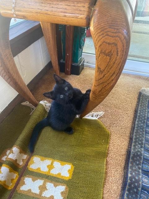 Augustus photo 2