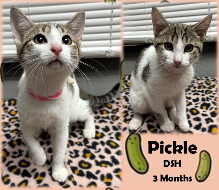 Pickle