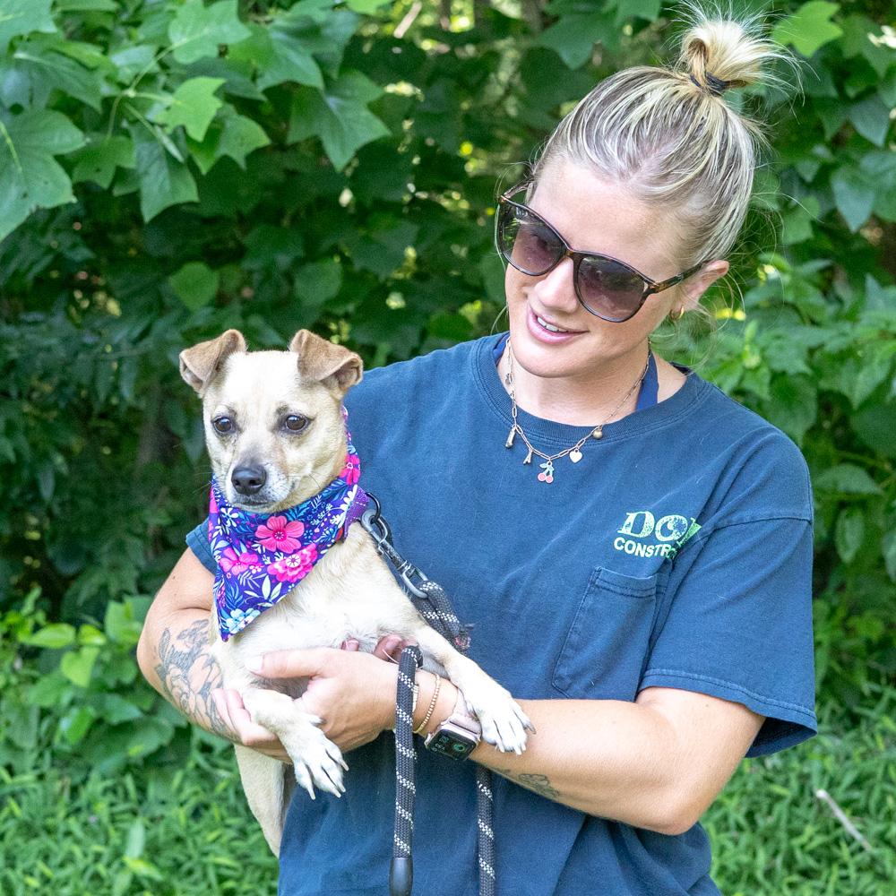 Enlarge Missy (Female), a Adoptable mixed breed in West Grove, PA image 5/6