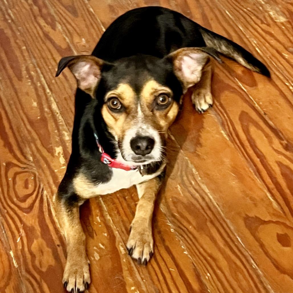 Max photo