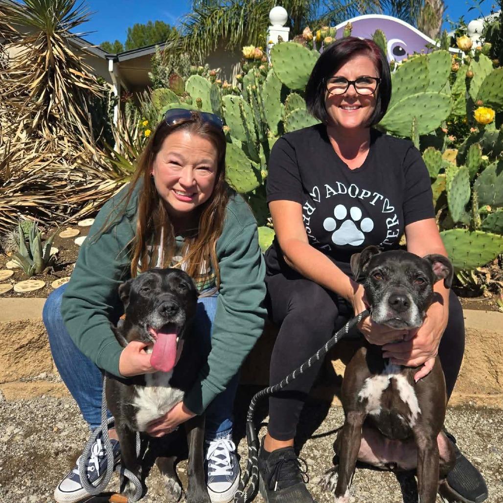 Fruity — thumbnail 2