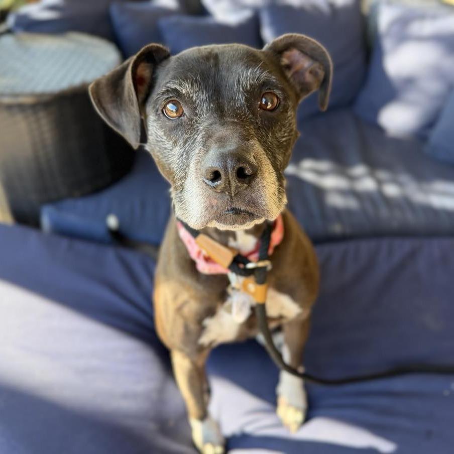 Fruity — thumbnail 3