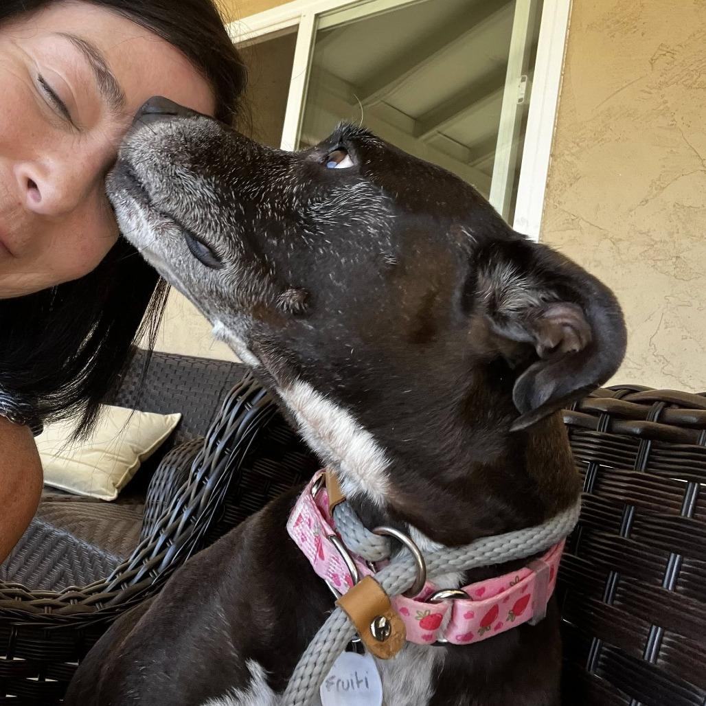 Fruity — thumbnail 4