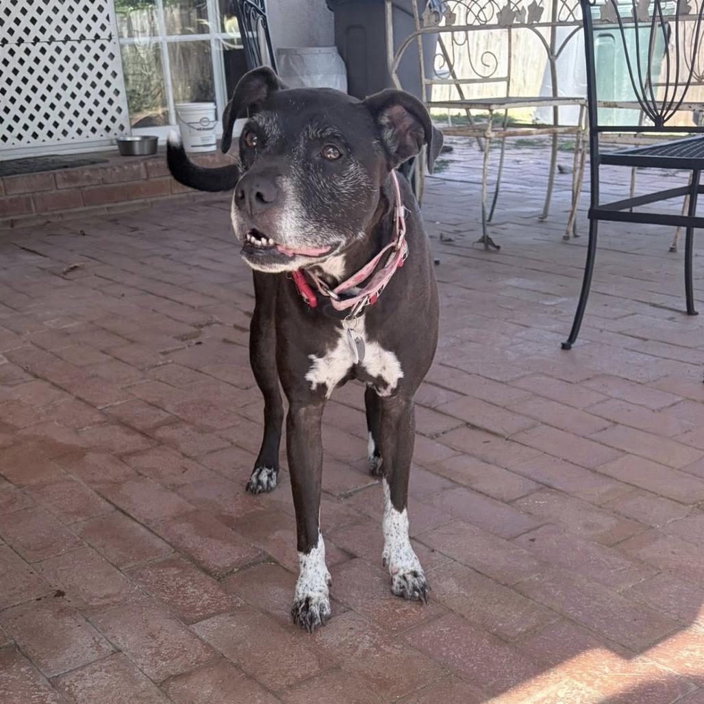 Fruity — thumbnail 6