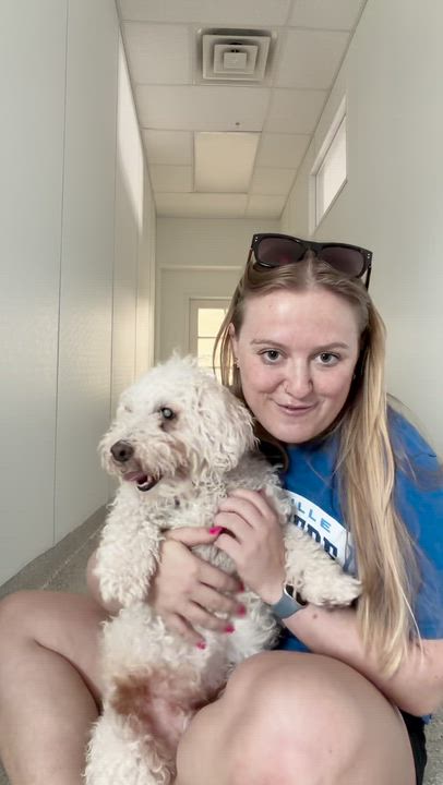 Enlarge Voorhees Trooper, a Adoptable Miniature Poodle in Plano, TX video 2/5