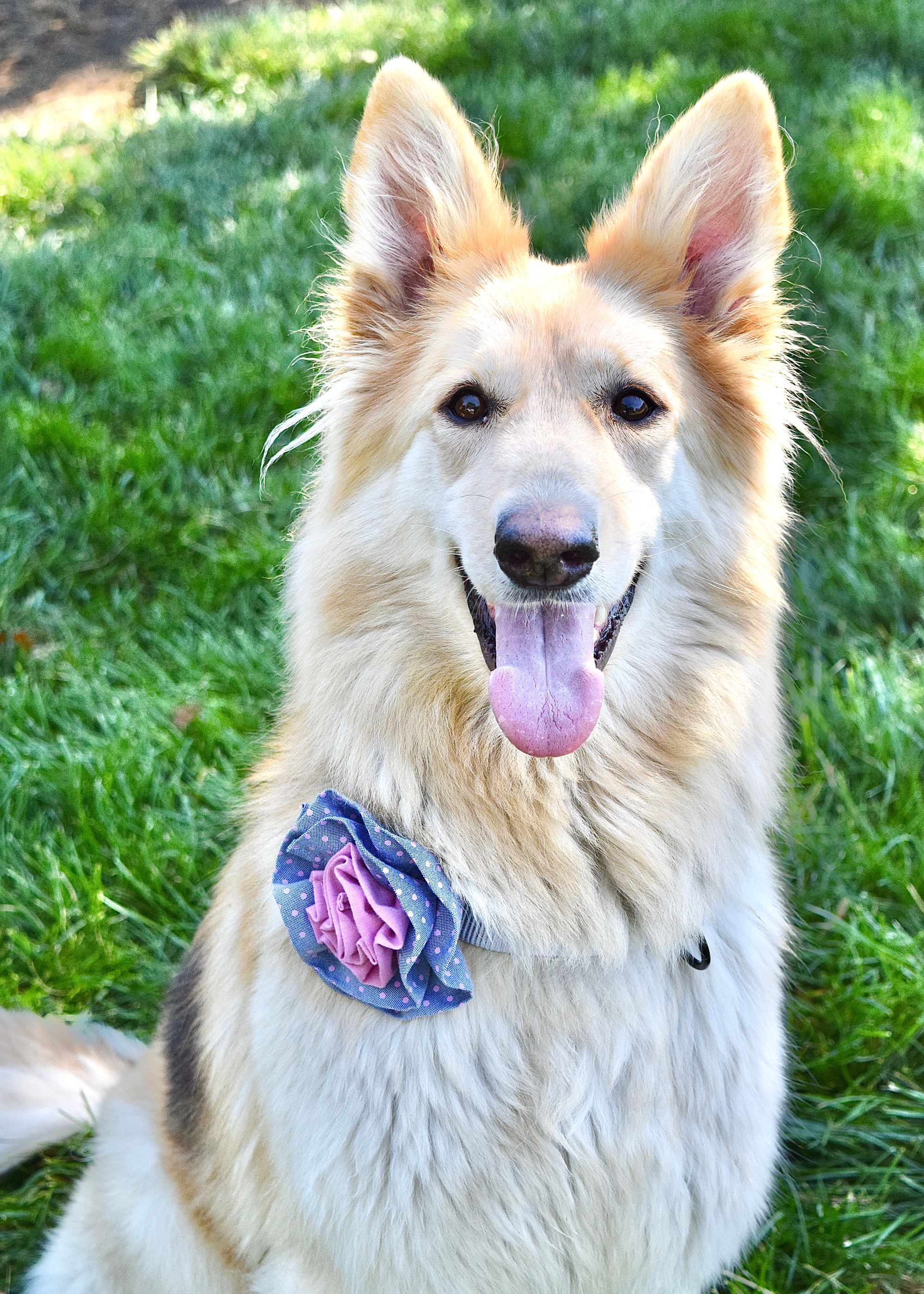 Kali