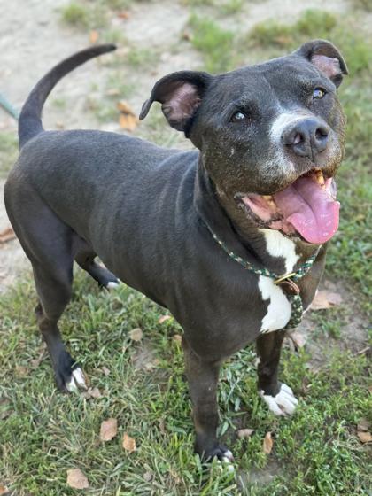 Kobe — thumbnail 2