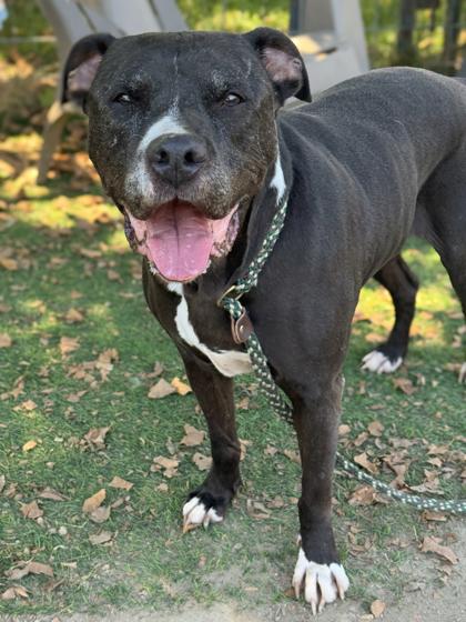 Kobe — thumbnail 3