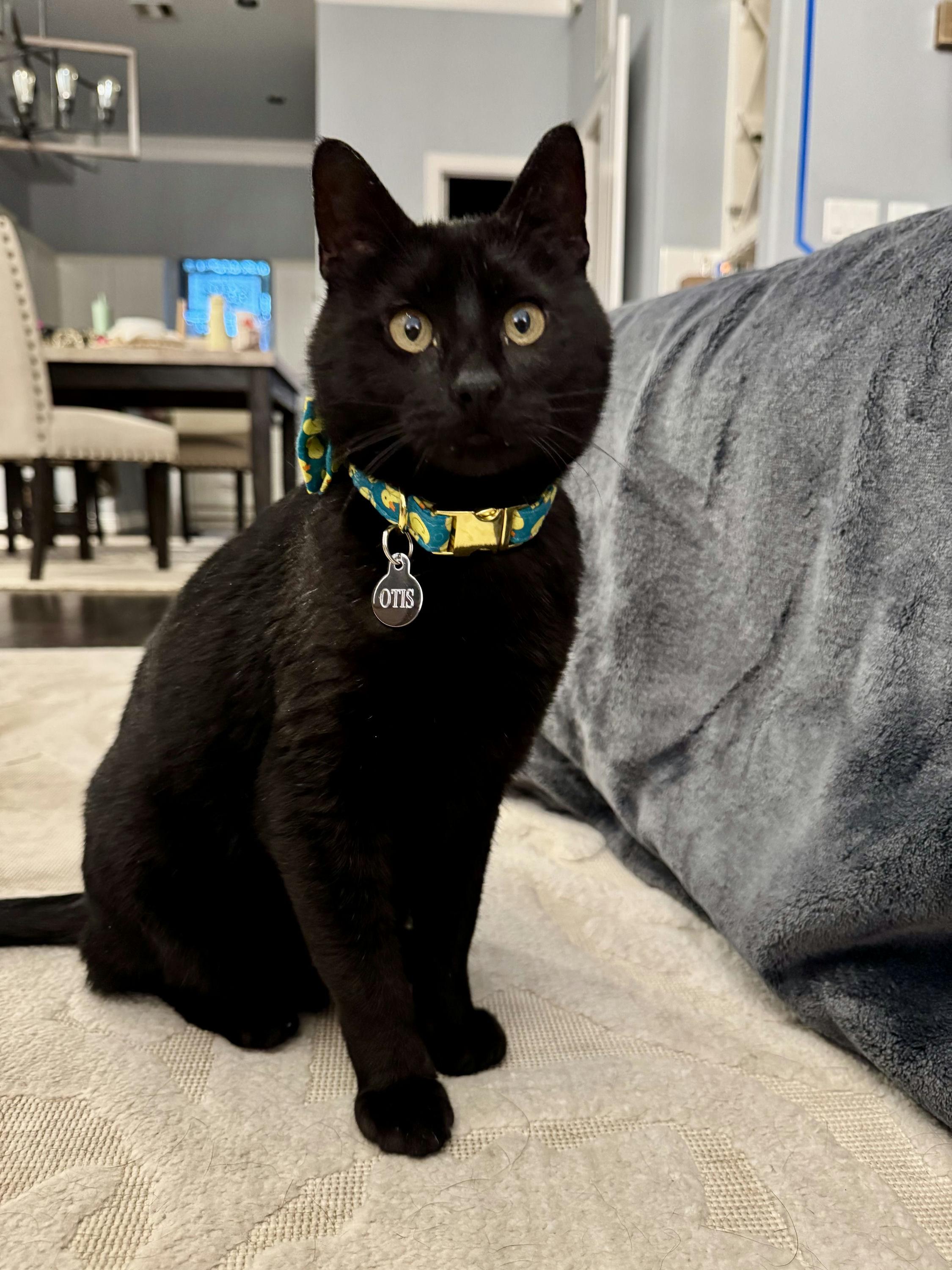 Otis