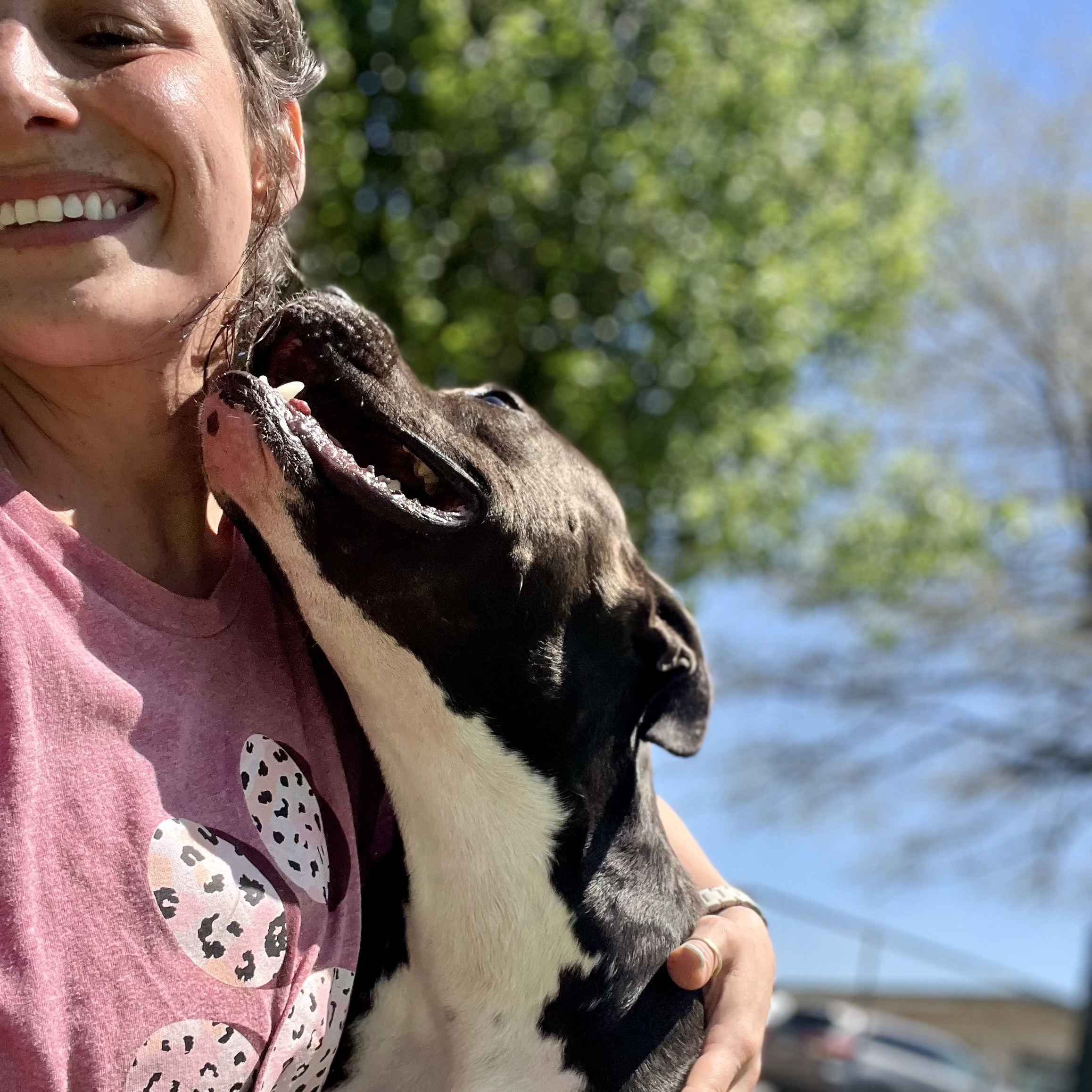 Mugsy — thumbnail 2