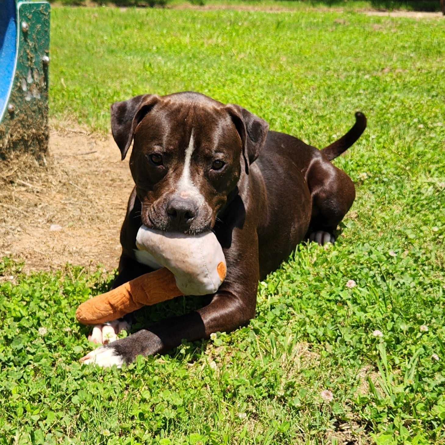 Mugsy — thumbnail 4