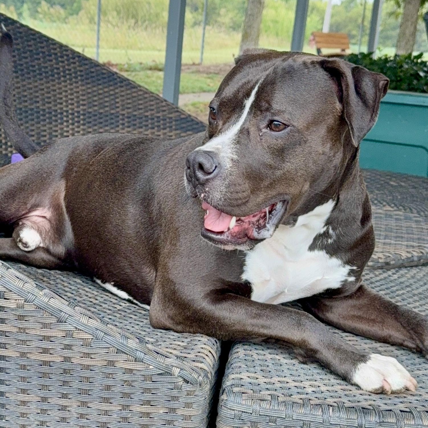 Mugsy — thumbnail 5