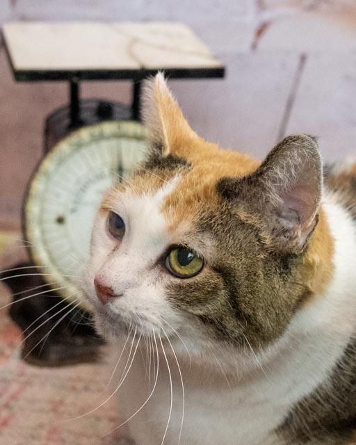 Skeeter — thumbnail 2