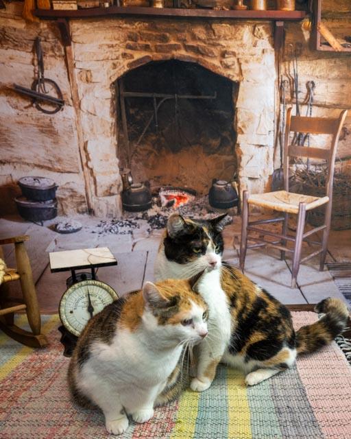 Skeeter — thumbnail 3