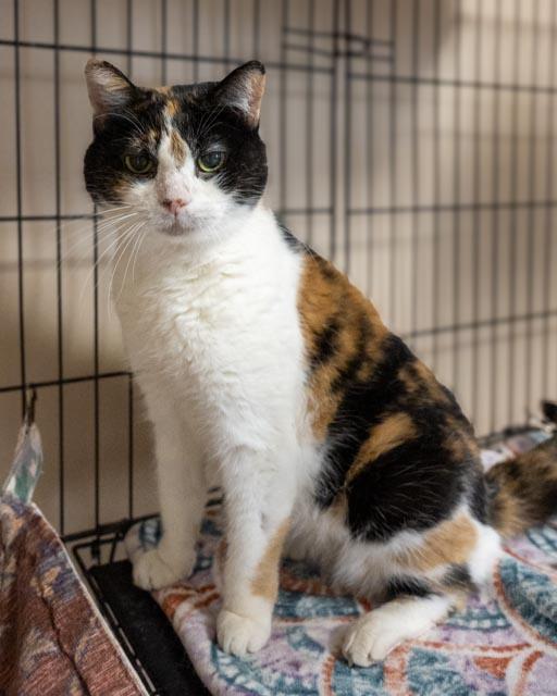 Skeeter — thumbnail 4