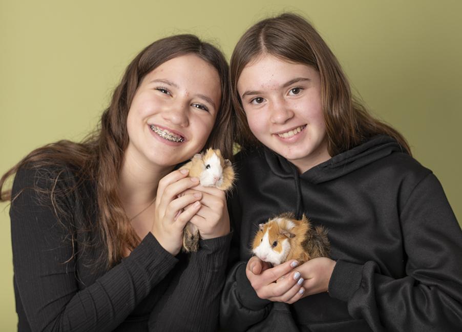 Enlarge Niamh & Siobhan, a Adopted Abyssinian in Chicago, IL image 2/5