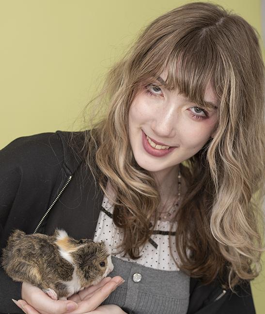 Enlarge Niamh & Siobhan, a Adopted Abyssinian in Chicago, IL image 3/5