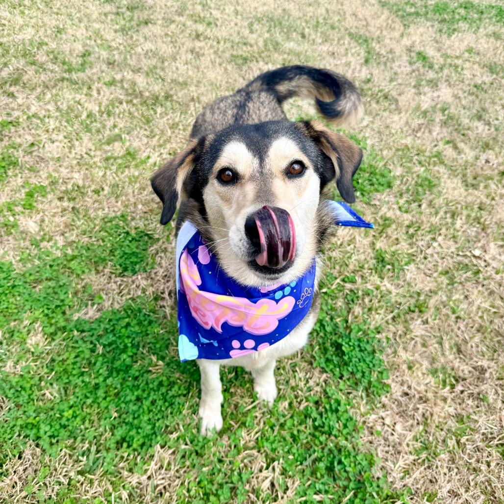 Montana — thumbnail 4