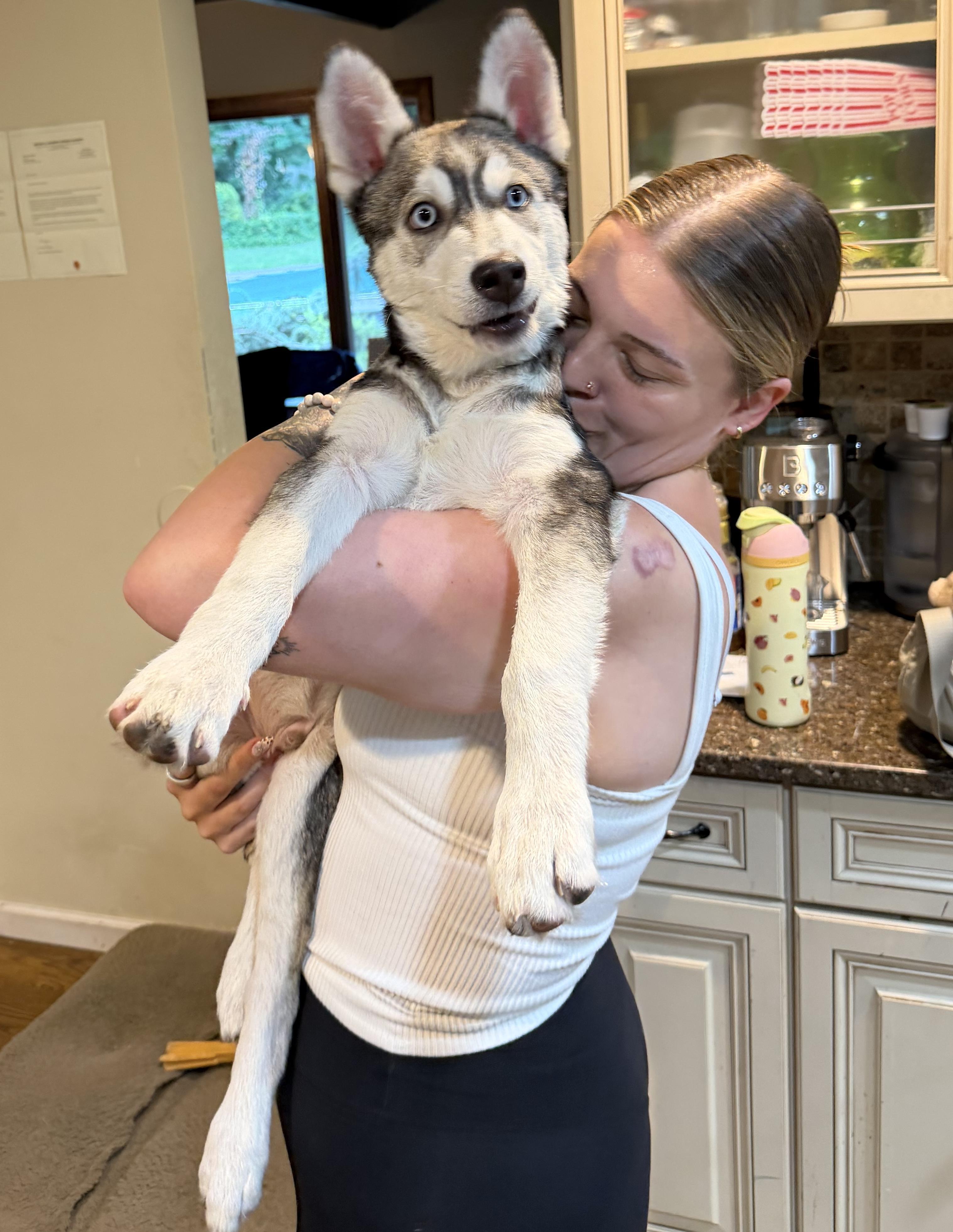 Enlarge Balto, a Adoptable mixed breed in Brooklyn, NY image 6/6